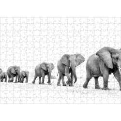 252 Piece Puzzle. Elephant (Loxodonta africana) herd walking in