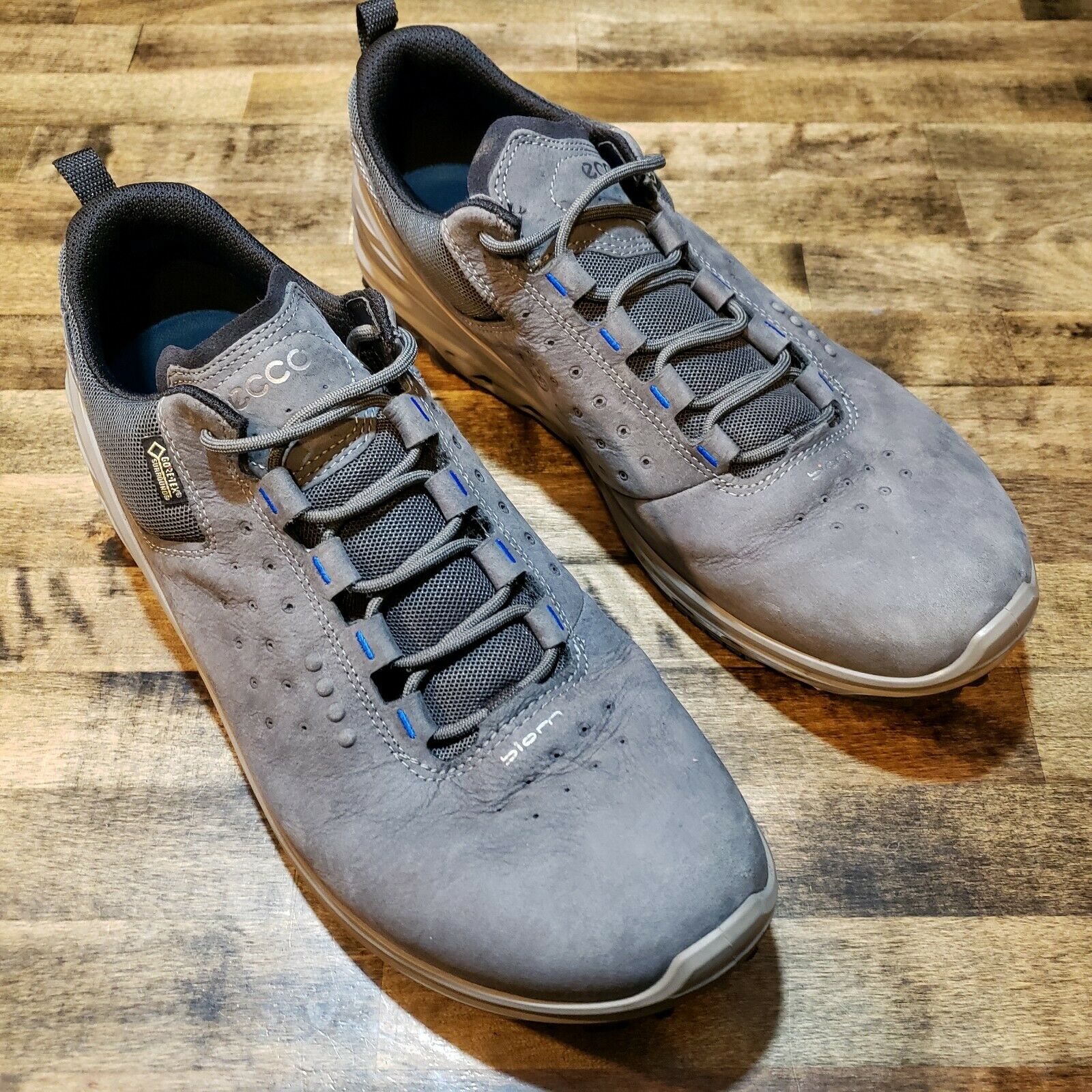 Men’s Ecco biom venture GTX gore Tex hiking shoes size 9